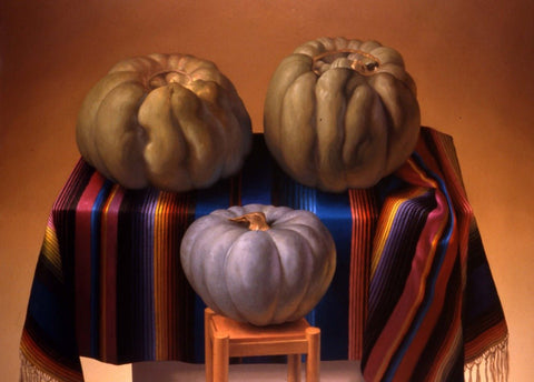 OPUS 568 - Tarquinia