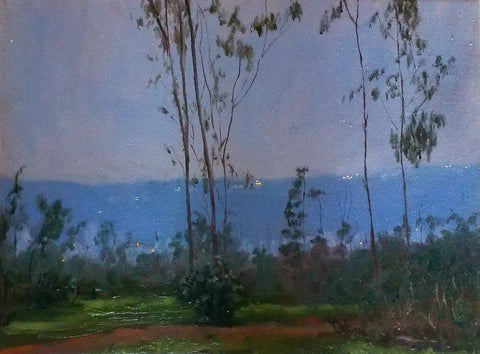 VISTA A VIÑA DESDE EL REFUGIO - Tarquinia