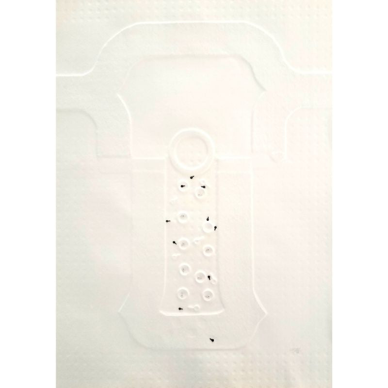 SERIE TORSOS DESCOMPUESTOS 1