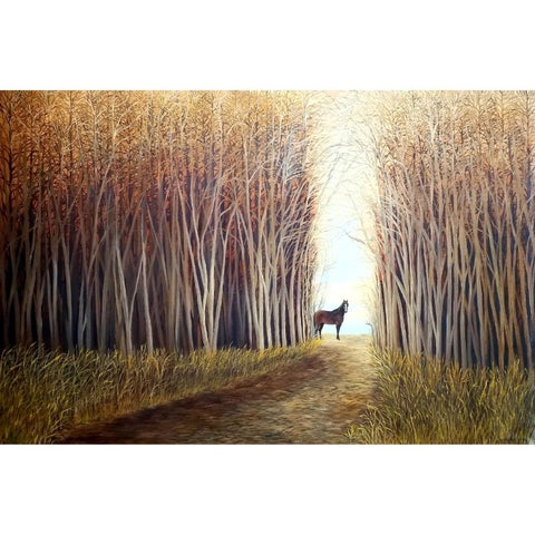 CABALLO EN BOSQUE 1