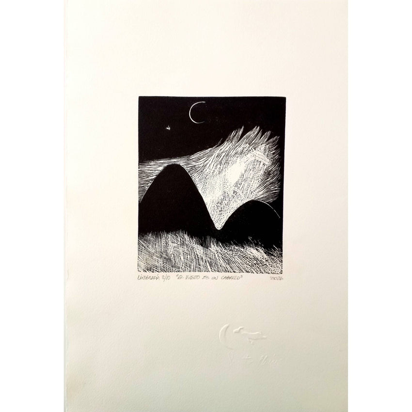 EL VIENTO ES UN CABALLO