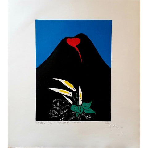 PRIMAVERA EN EL VOLCÁN