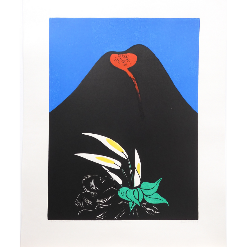 PRIMAVERA EN EL VOLCÁN