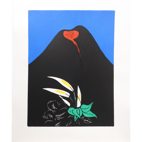 PRIMAVERA EN EL VOLCÁN