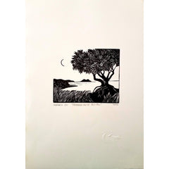 CARPETA LA LUNA CRECIENTE, 9 XILOGRAFÍAS