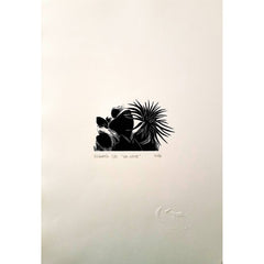 CARPETA LA LUNA CRECIENTE, 9 XILOGRAFÍAS
