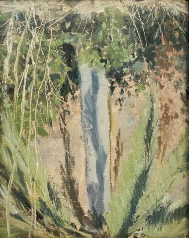 CAMPO DE ACCIÓN - Tarquinia