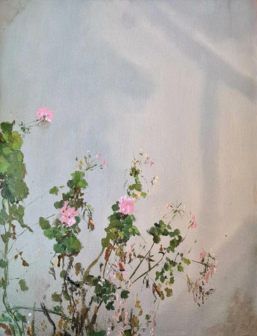 GERANIOS - Tarquinia